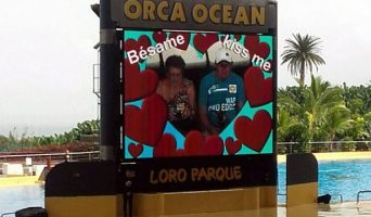 Лоро-парк на Тенерифе. Описание парка. Стоит ли побывать