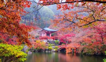 Япония: удивительные факты о стране Восходящего Солнца