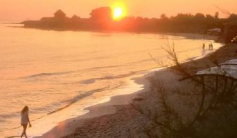 Оленевка. Только Оленевка!