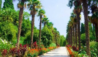 Крым. Ялта. Никитский ботанический сад