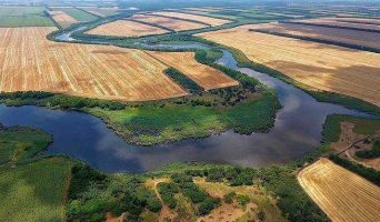 Река Ея. География, флора, фауна, рыбалка