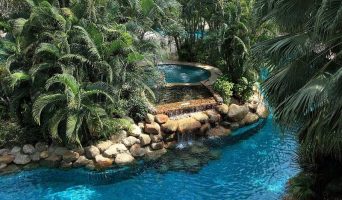 Путешествие к храмовым обезьянам и летучим мышам в королевский Хуа Хин