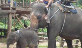 Тайланд в январе. Три лица Страны Улыбок.