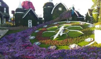 Сад чудес на месте пустыни — Дубай Миракл гарден