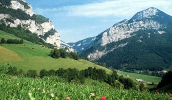 В Абхазию на экскурсию на 1-2 дня