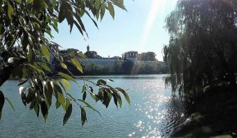 Прогулка в Новодевичий монастырь и парк "Новодевичьи пруды". Обед в "Оджахури"
