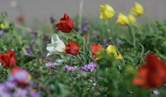 Мы дома, а жизнь идет. Природа Крыма, где красиво