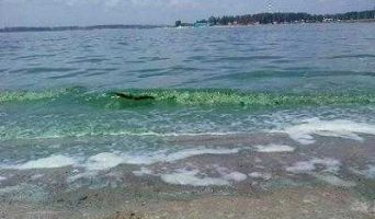 Отдых на берегу Бердского залива