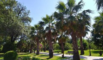 Парк Южные культуры в Адлере. Описание парка