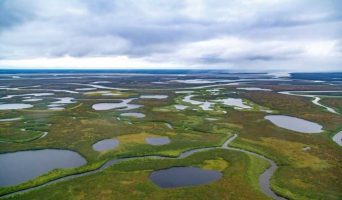Северо-Сибирская низменность. Описание северного края