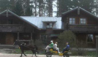 Верхние Мандроги. Северо-русское Лукоморье. Место духовной и физической силы