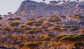 Остров Сокотра. Уголок с неземной природой и космическими видами