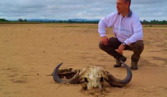 Большое африканское путешествие или тур по 7 странам Южной Африки