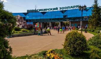 Новосибирский зоопарк. Животные и территория. Фотоотчет
