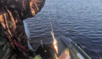 Юркинский мыс. Неисчерпаемая вода, поднебесные леса, грибное царство, услада рыбаков