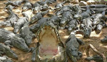 Очерки дипломата. Пять лет в Америке. Декабрь 2002-январь 2003. Дорога из Нью-Йорка во Флориду