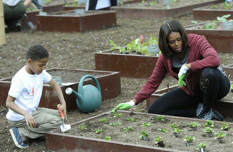 Мишель Обама тоже занималась огородничеством на лужайке перед Белым домом, правда несколько позже
