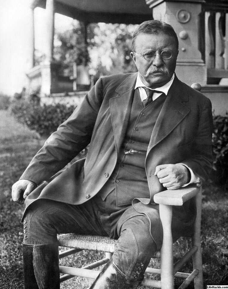 Теодор Рузвельт в годы президентства