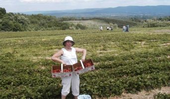 Очерки дипломата. Пять лет в Америке.  Июнь 2004.  О развлечениях выходного дня в штате Нью-Йорк