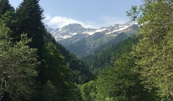 Абхазия. Как съездить, посетить интересные места и не выйти замуж