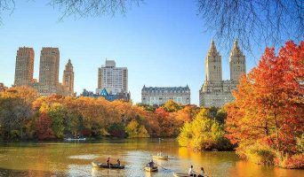 Очерки дипломата. Пять лет в Америке. Октябрь 2004. О бесподобной красоте осеннего листопада в окрестностях Нью-Йорка