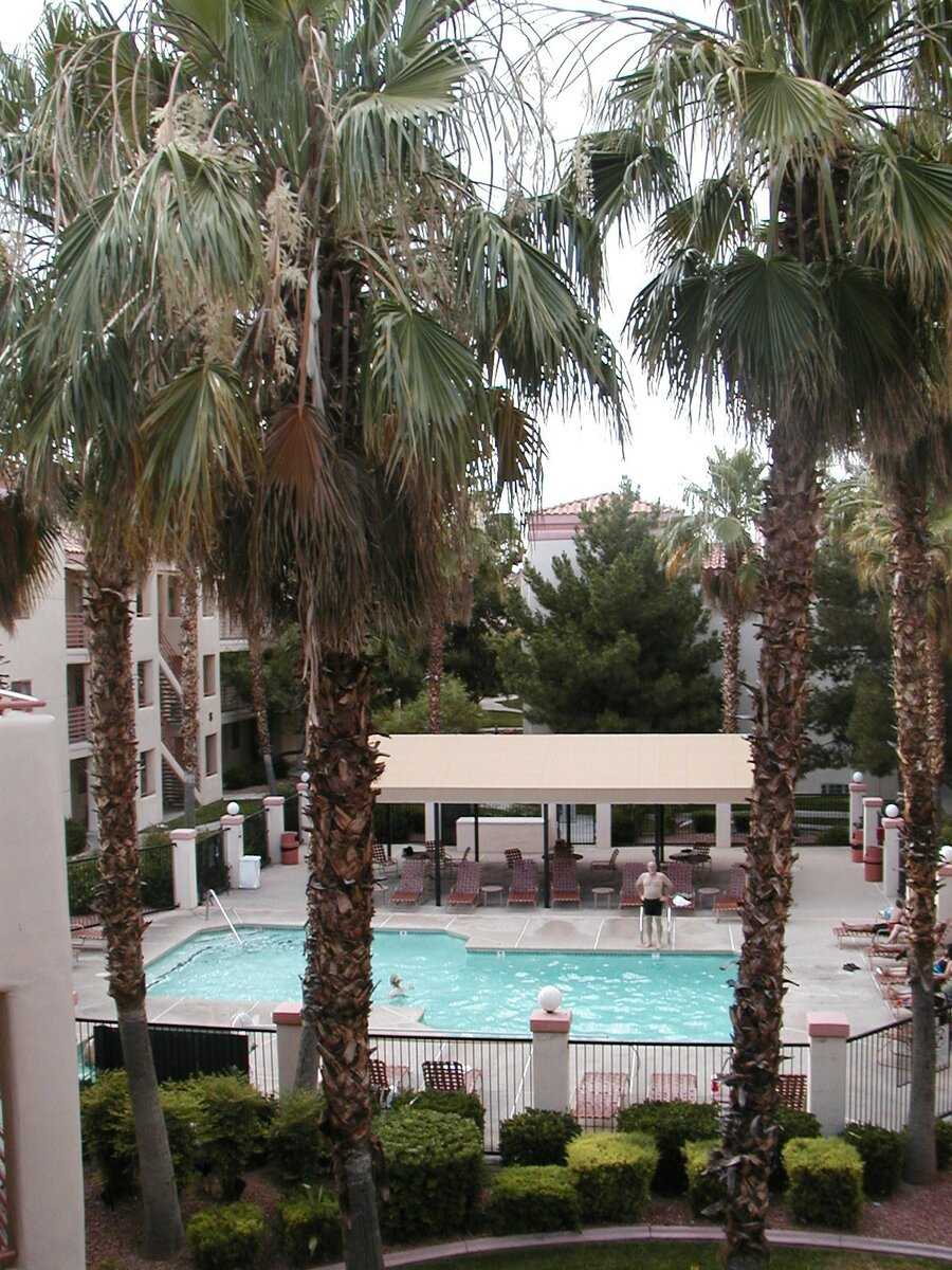 Вид с балкона нашего номера в отеле на бассейн