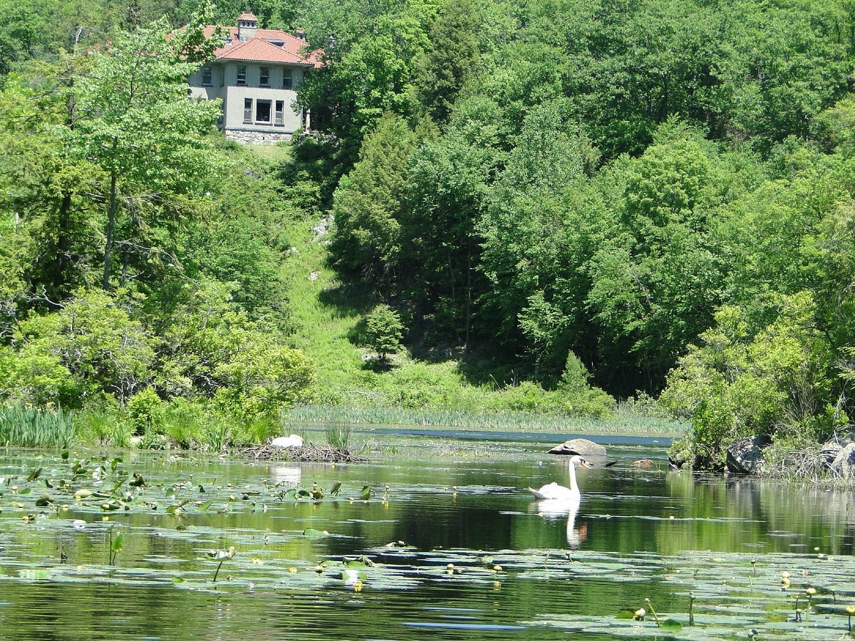 Озеро в Arrow Park