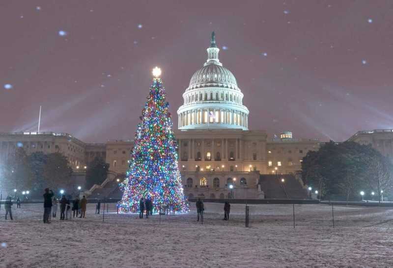 Рождественская елка перед Капитолием в Вашингтоне