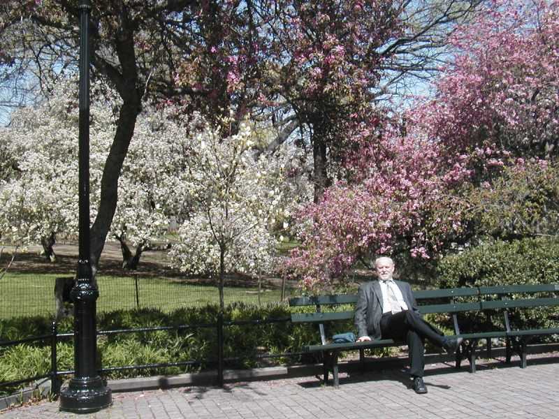 Отдых в Центральном парке в обеденный перерыв