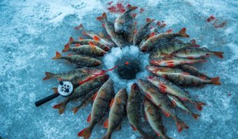 Очерки дипломата. Пять лет в Америке. Март 2006. Об особенностях американской подледной рыбалки в весенний период