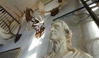 Вояж по трем штатам. Часть II: Монтичелло или как бытие изменило сознание отца американской демократии