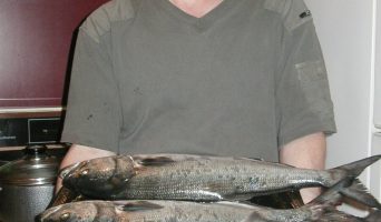 Очерки дипломата. Пять лет в Америке. Сентябрь 2006. Сентябрьская температурная низость