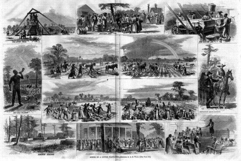 Сцены рабского труда на плантациях юга США