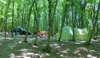 Автокемпинги Туапсинского района