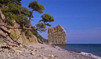 Тихая Прасковеевка Краснодарского края. Выдающийся Парус и реликтовые сосны