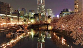 Япония — Токио — Цукидзи. Знакомимся с историей рынка морепродуктов, выбираем полную здоровья рыбу на историческом базаре