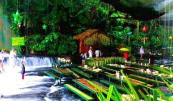 Удивительные и непривычные рестораны  мира и страны Россия