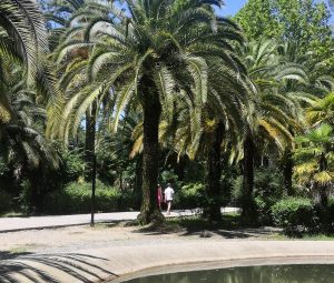 Где в Гагре лучше остановиться жить на отдыхе