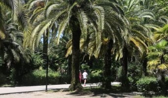 Где в Гагре лучше остановиться жить на отдыхе