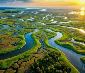 Дельтовые реки. Понятие и классификация