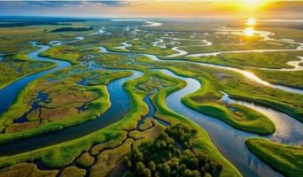 Дельтовые реки. Понятие и классификация