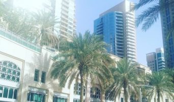 Уникальный Дубай: куда сходить и что посмотеть