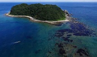 Остров Петрова — жемчужина Приморского края!