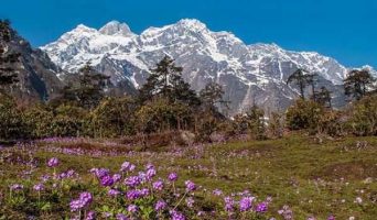 Сикким. Путешествие для увлеченных на север Индии
